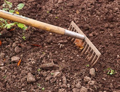 Le rateau, un indispensable pour le bon jardinier