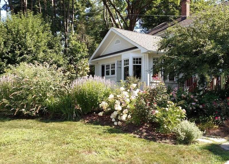Petit jardin en ville, comment choisir les plantes et accessoires &nbsp;?