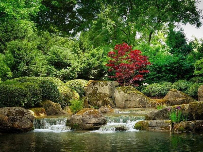 Les secrets d&rsquo;un jardin de rocaille esthétique et durable